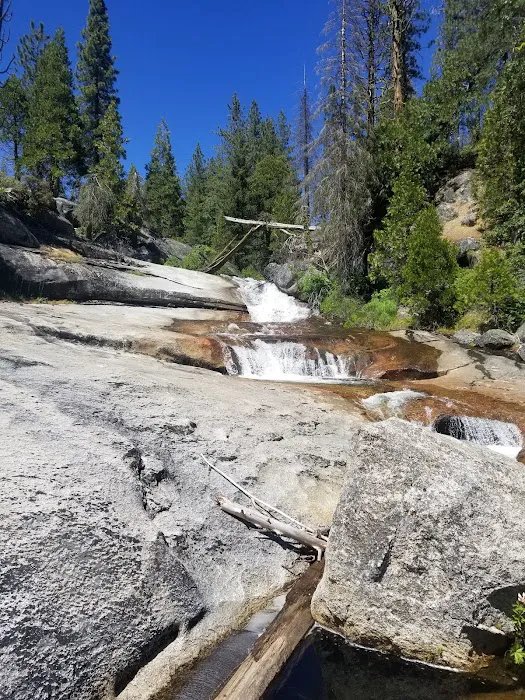 Whiskers Campground Picture 2