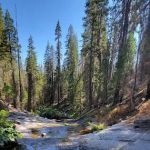 Gaggs Camp Campground