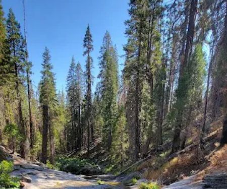 Gaggs Camp Campground