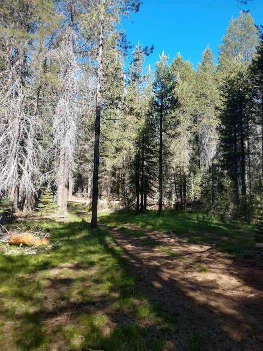 Far Meadow Picture 2