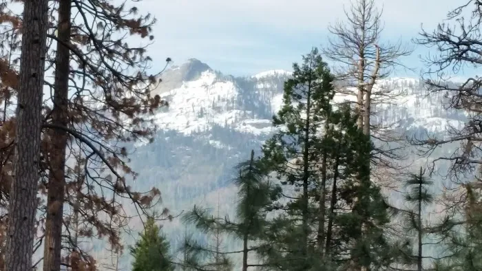 Lower Chiquito Campground Picture 7