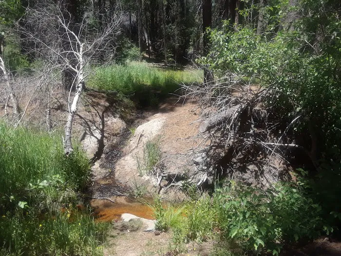 Lower Chiquito Campground Picture 10