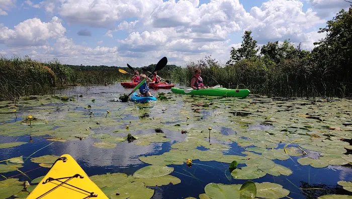 Birchmere Resort & Campground Picture 5