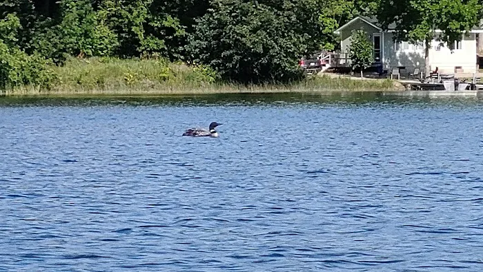 Birchmere Resort & Campground Picture 6