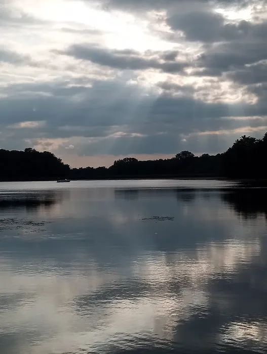 Backwoods RV Park Picture 3