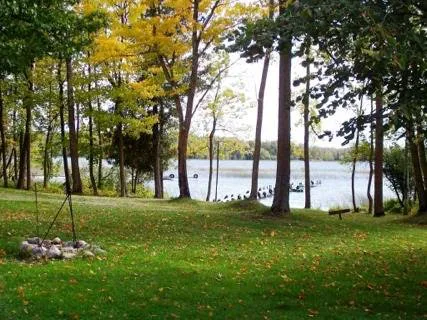 Backwoods RV Park Picture 1