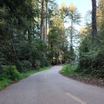 Tan Oak Campground, Mt Madonna County Park