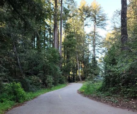 Tan Oak Campground, Mt Madonna County Park