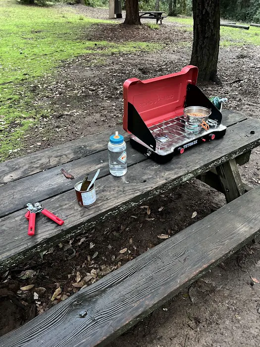 Tan Oak Campground, Mt Madonna County Park Picture 8