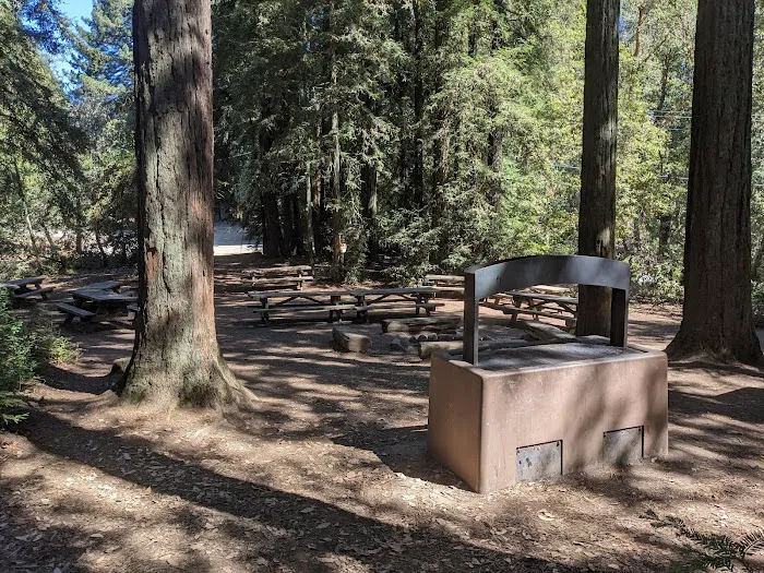 Manzanita Group Campsite Picture 5