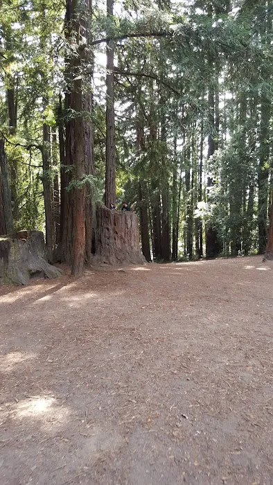 West Deer Pen Group Camp Ground Picture 2