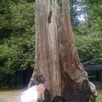 West Deer Pen Group Camp Ground