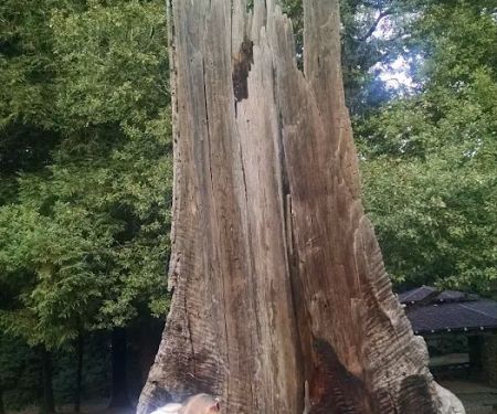 West Deer Pen Group Camp Ground