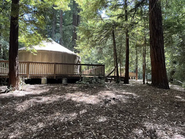 Valley View 1 Campground Picture 2