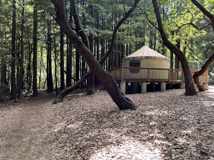 Valley View 1 Campground Picture 3