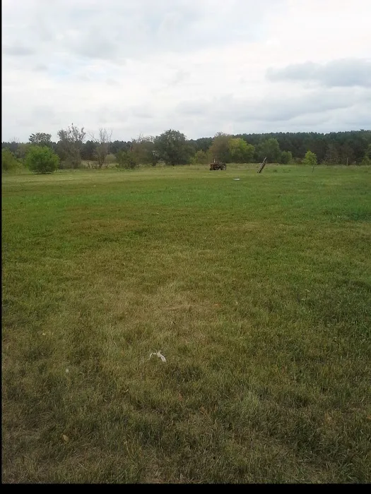 Olsen's RV Park Picture 1