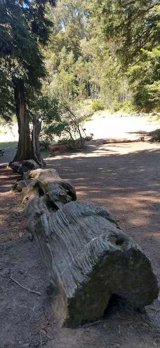 Arrowhead Group Campsite Picture 1