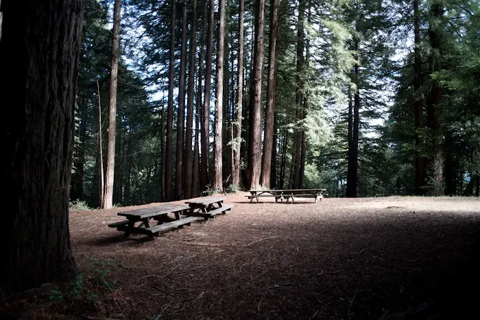 Arrowhead Group Campsite Picture 3
