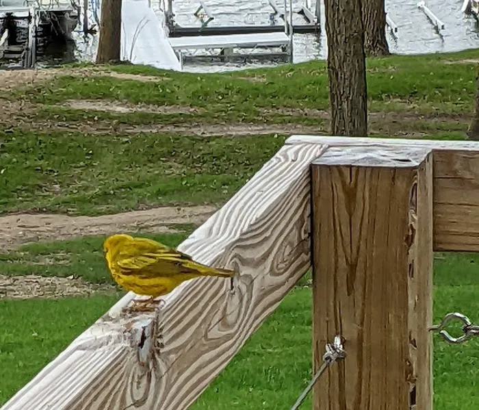 Leaf Lake RV Park Picture 4