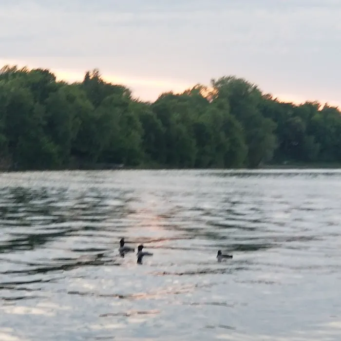 Leaf Lake RV Park Picture 6