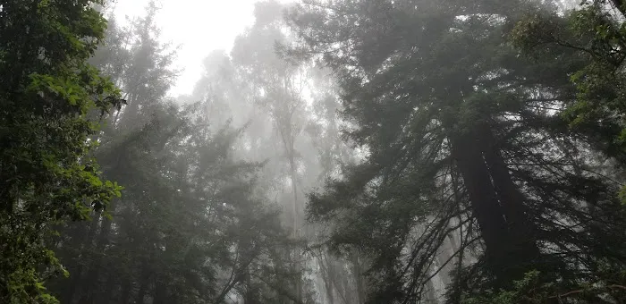 Indian Rock Group Camp Picture 3