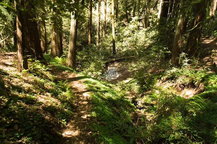 Indian Rock Group Camp Picture 1