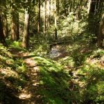 Indian Rock Group Camp