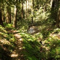 Indian Rock Group Camp ico