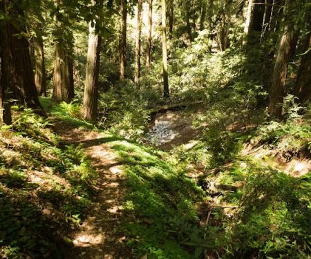 Indian Rock Group Camp