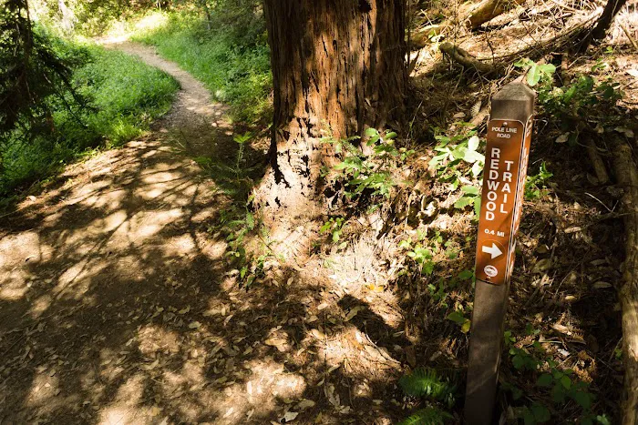 Indian Rock Group Camp Picture 10