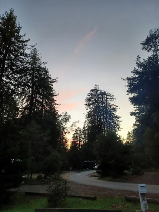Huckleberry Group Camping Site Picture 4