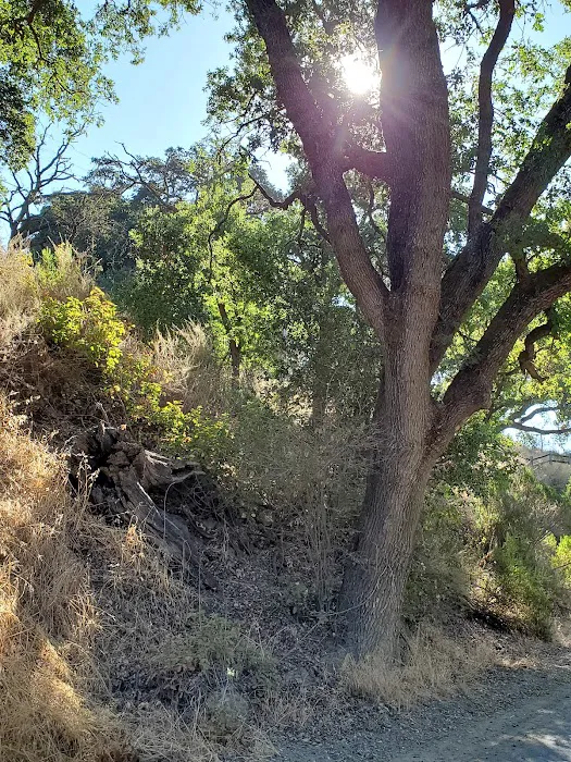 Lodge Campground Picture 5