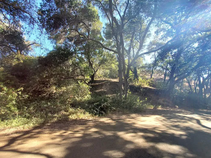 Lodge Campground Picture 7
