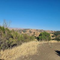 Bee Campground ico