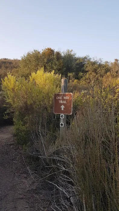 Bee Campground Picture 7