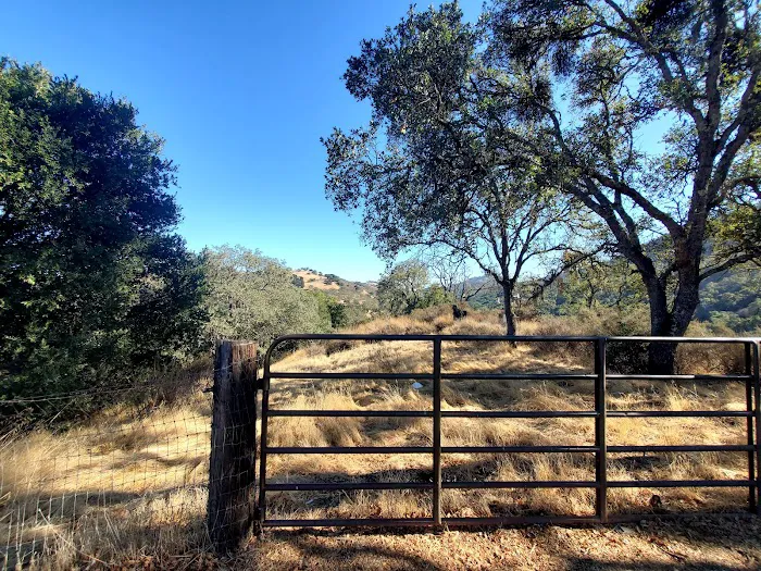 Radio Ridge Picture 4