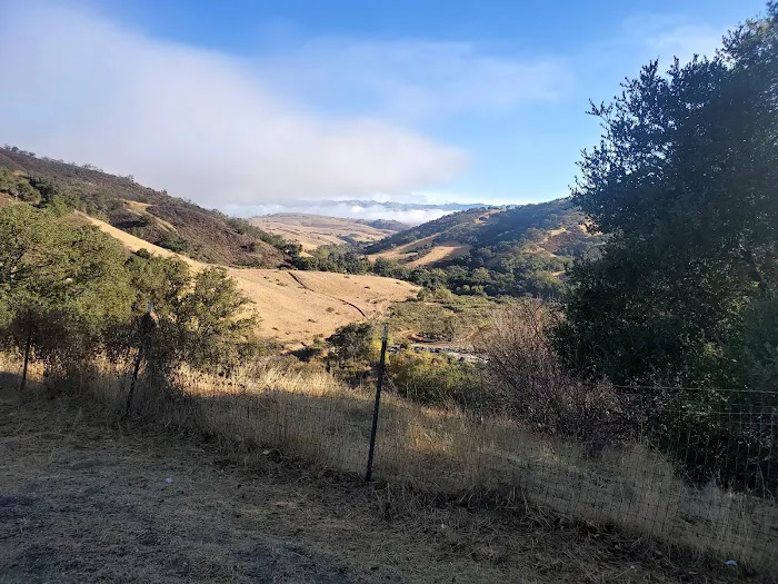 Radio Ridge Picture 1