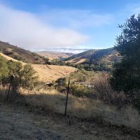 Radio Ridge ico