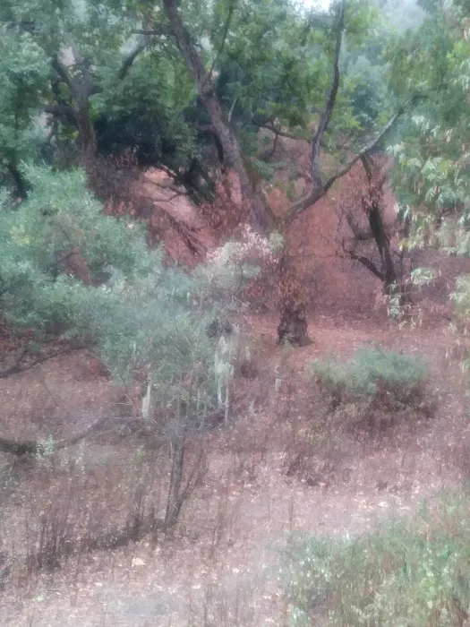 Walnut Campground Picture 1