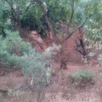 Walnut Campground ico