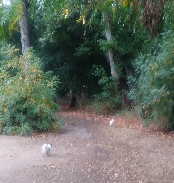 Walnut Campground Picture 2