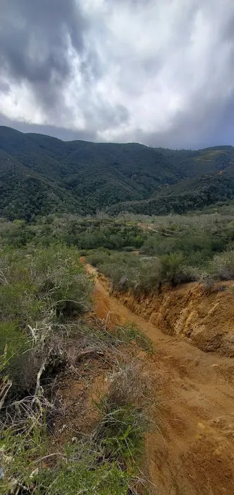 Madrone Campground Picture 2