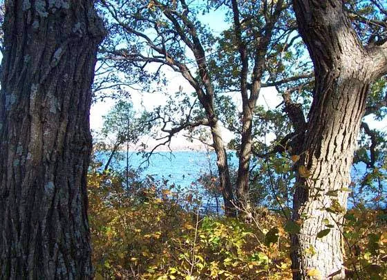 Walker Lake Preserve Picture 4
