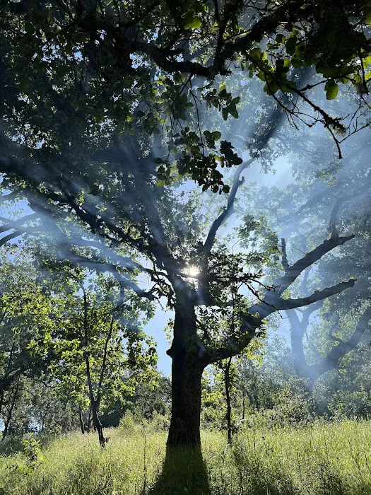 Valley View Campground Picture 7