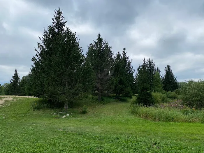 Maplewood RV Park and Camp Picture 4