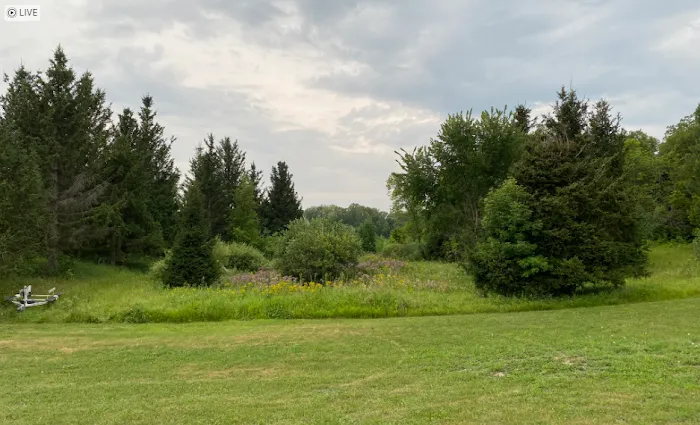 Maplewood RV Park and Camp Picture 2