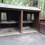 Point Group Camp, Portola Redwoods State Park
