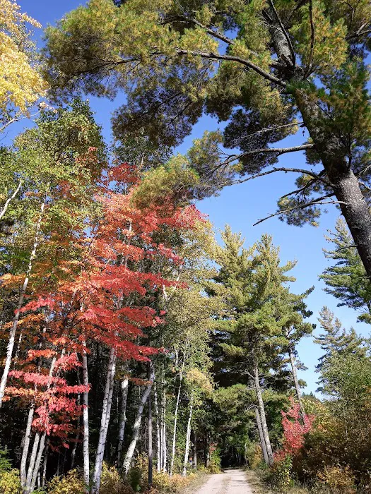 Olson Mobile Home Park Picture 2