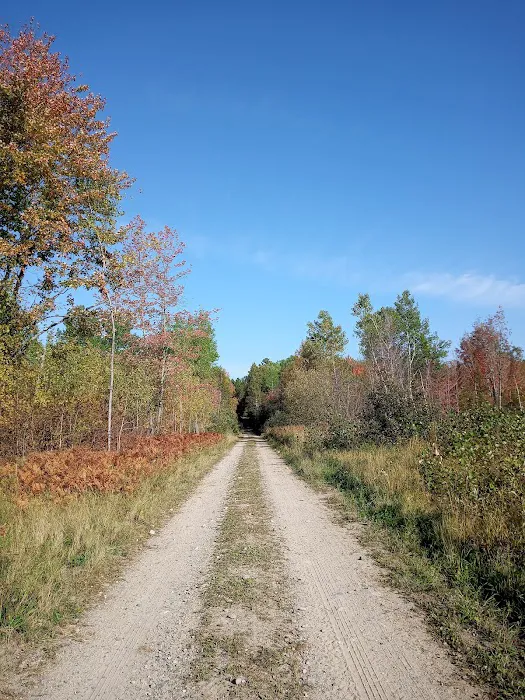 Olson Mobile Home Park Picture 6