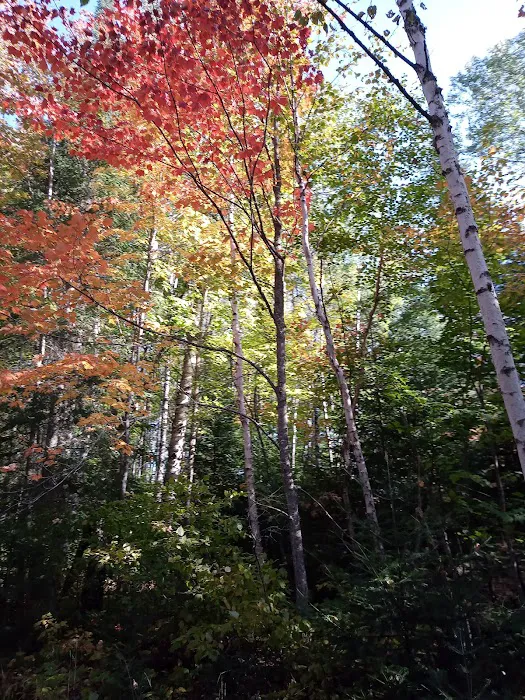 Olson Mobile Home Park Picture 4